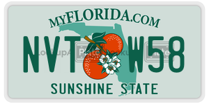 NVTW58  license plate in FL