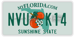NVUK14 license plate in Florida