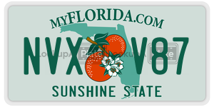 NVXV87  license plate in FL