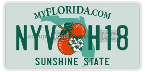 NYVH18 license plate in Florida