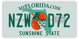 NZWD72 license plate in Florida