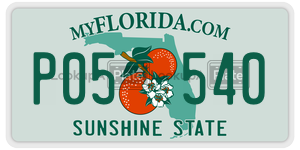 P05540 license plate in Florida