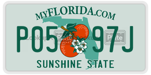 P0597J  license plate in FL