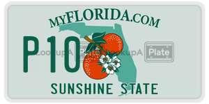P10 license plate in Florida