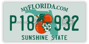 P18932  license plate in FL