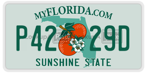 P4229D  license plate in FL