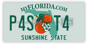 P4ST4 license plate in Florida