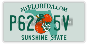 P625V  license plate in FL