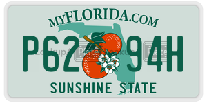 P6294H license plate in Florida