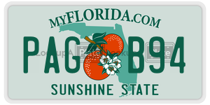 PAGB94 license plate in Florida