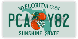 PCAY82 license plate in Florida