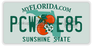 PCWE85  license plate in FL