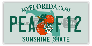 PEAF12 license plate in Florida