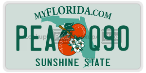 PEAQ90 license plate in Florida