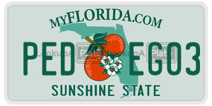 PEDEG03  license plate in FL