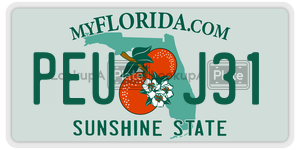 PEUJ31 license plate in Florida