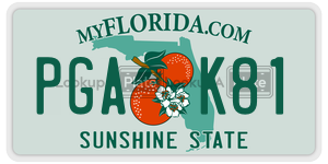 PGAK81  license plate in FL