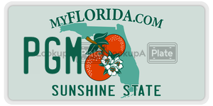 PGM license plate in Florida