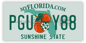 PGUY88 license plate in Florida