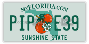 PIPE39 license plate in Florida