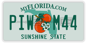 PIWM44 license plate in Florida