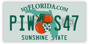 PIWS47 license plate in Florida