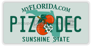 PIZDEC license plate in Florida