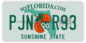 PJNR93 license plate in Florida