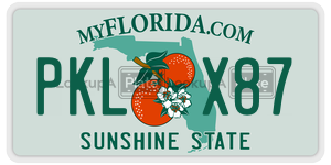 PKLX87 license plate in Florida