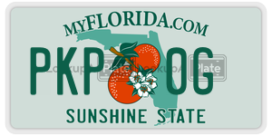 PKP0G  license plate in FL