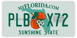 PLBX72  license plate in FL