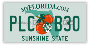 PLCB30  license plate in FL