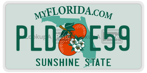 PLDE59 license plate in Florida