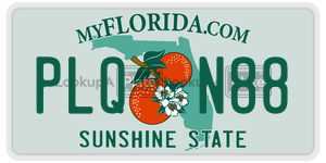 PLQN88  license plate in FL