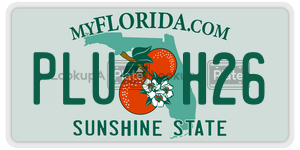 PLUH26  license plate in FL