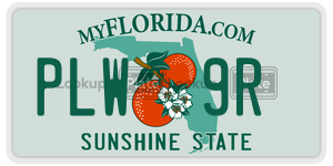 PLW9R  license plate in FL