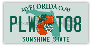 PLWT08  license plate in FL