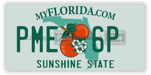 PME6P license plate in Florida