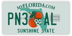 PN3AL  license plate in FL