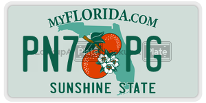 PN7PG  license plate in FL