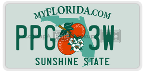 PPG3W license plate in Florida