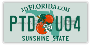 PTDU04  license plate in FL