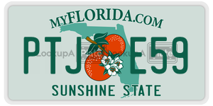 PTJE59  license plate in FL