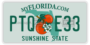 PTQE33  license plate in FL