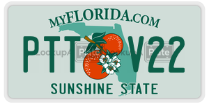 PTTV22  license plate in FL