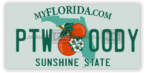 PTW00DY  license plate in FL