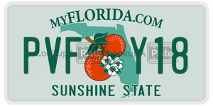 PVFY18  license plate in FL