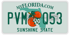 PVMQ53 license plate in Florida
