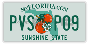 PVSP09  license plate in FL