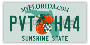 PVTH44  license plate in FL